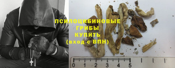 трава Верхнеуральск