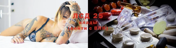 СК Верея