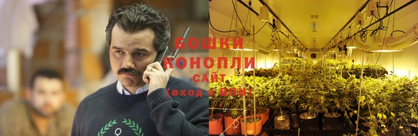 трава Верхнеуральск