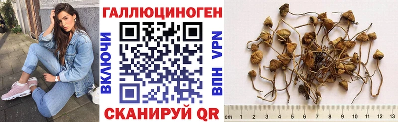 Псилоцибиновые грибы MAGIC MUSHROOMS Купить закладки Новопавловск